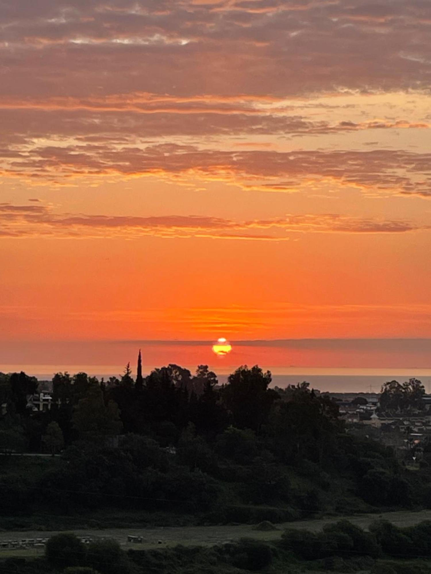 Calm Escape Ξενοδοχείο San Pedro de Alcántara Εξωτερικό φωτογραφία